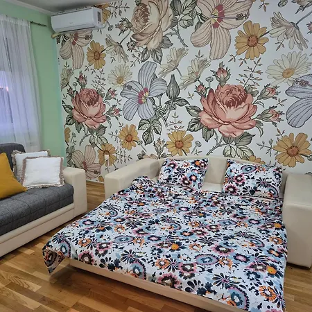 Vukan Sremska Mitrovica